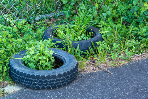 放置されたタイヤ