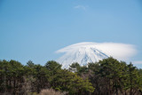 笠雲のかかる富士山　樹海