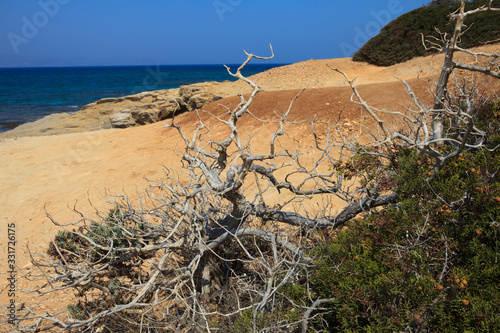 Alyko beach, Naxos / Greece - August 24, 2014: Alyko beach view in Naxos, Cyclades Islands, Greece photo