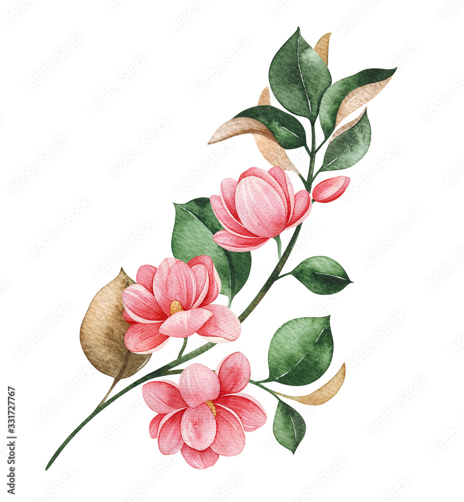 Beautiful watercolor magnolia blossom branches on white background ...