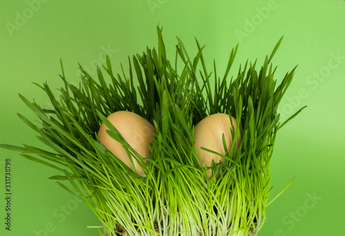 Egs jn the grass