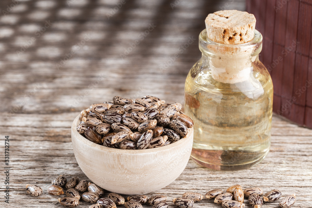 Castor oil and seeds on wood, space for text Castor oil and seeds on wood, space for text
