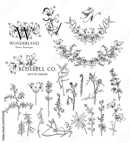 Set of vector engraving flowers