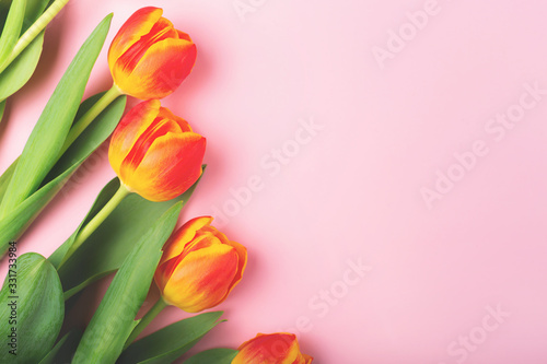 Fototapeta Naklejka Na Ścianę i Meble -  A frame made with beautiful tulips flowers on pink background. Spring is coming concept. Flat lay, top view. Copy space for your text.