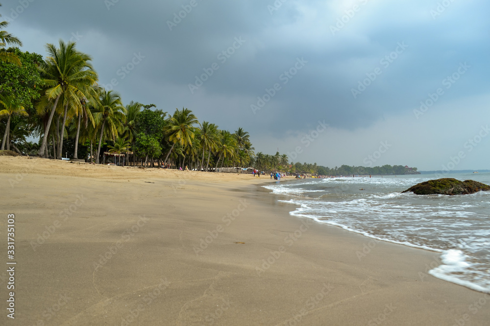 View of Sandy Beach and Waves with a Row of Coconut Trees and People Activities
