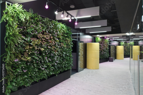 walls with plants in a modern office