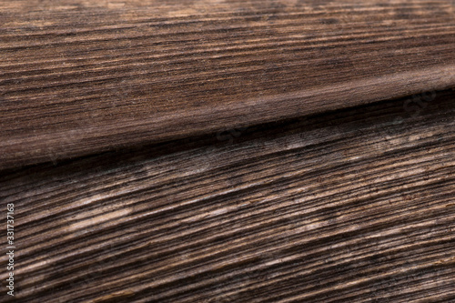 Textura de una hoja seca