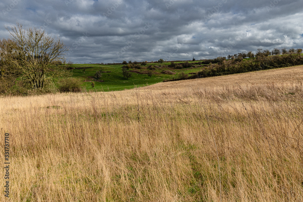 Landscape of farm fields and dirt road ideal for active recreation in Borgloon, Belgium during early spring. 