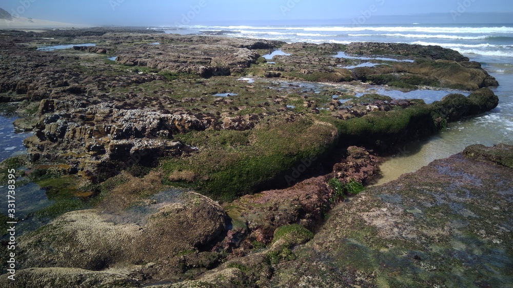 Felsenküste bzw. felsige Küste mit Algen bei Ebbe bzw. Niedrigwasser