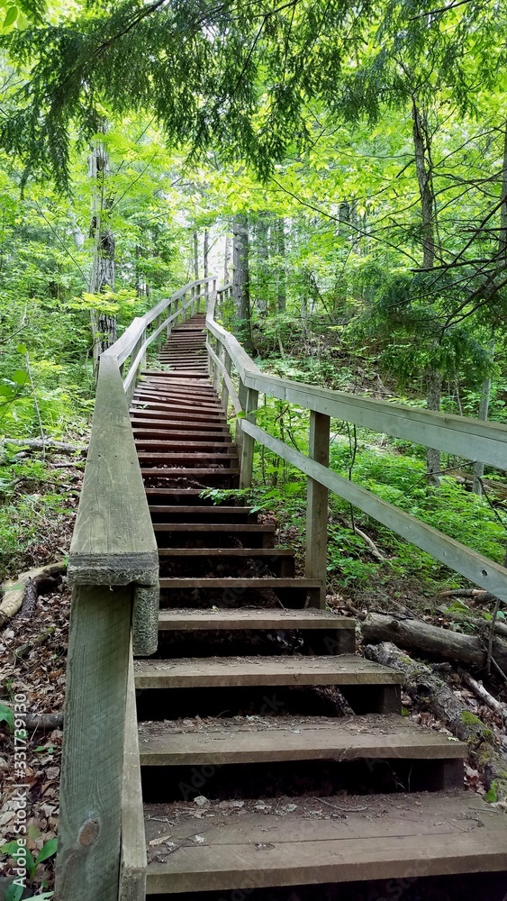 Forest Trail Stairway
