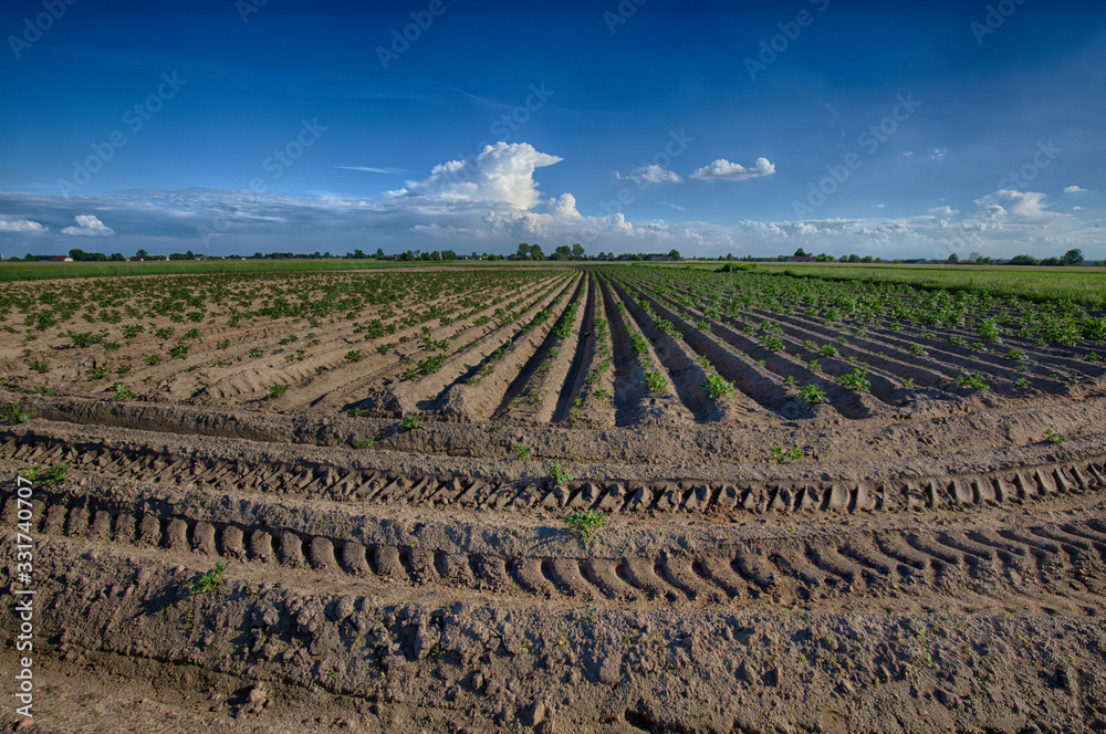 Plowed field with blue sky 1