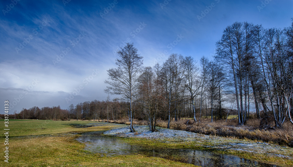Spring field with snow residue