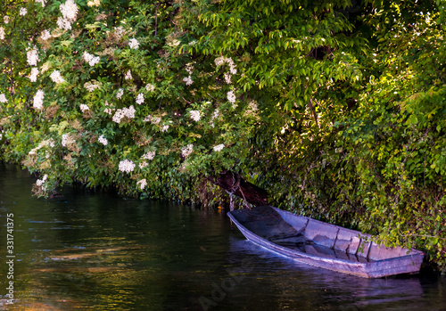 Blue flat bottomed boat or Nego chin  in a river. tied up to flowering tree. L isle sur la sorgue France. photo