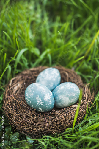 Painted blue textured easter eggs in a brown nest lies in green fresh grass. The concept of the spring holiday and egg hunting.