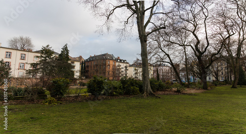 View in park with trees and green grass