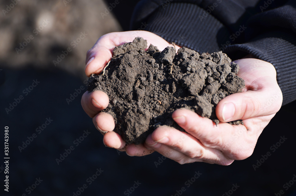 Close-up land in hands, farming,agronomy photo