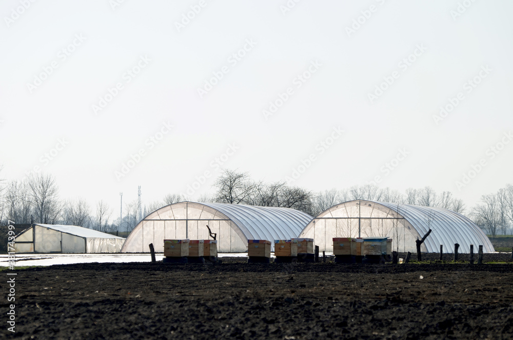 Greenhouses , farming photo