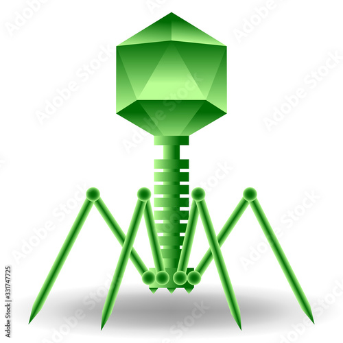 bacteriophage virus model in green