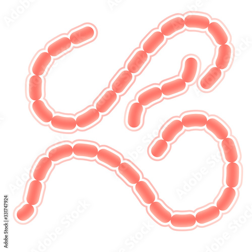 ebola virus microscopic model in color
