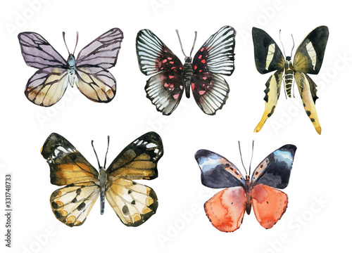 Set with watercolor butterflies on a white background. Watercolor illustration. © Sarema