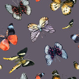 Seamless pattern with butterflies. Watercolor illustration. Watercolor butterflies.