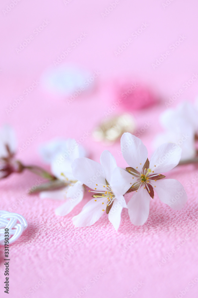 水引飾りと美しい桜の花