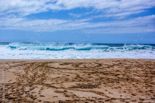 Fototapeta Naklejka Na Ścianę i Meble -  Beautiful beach with big waves in Hawaii