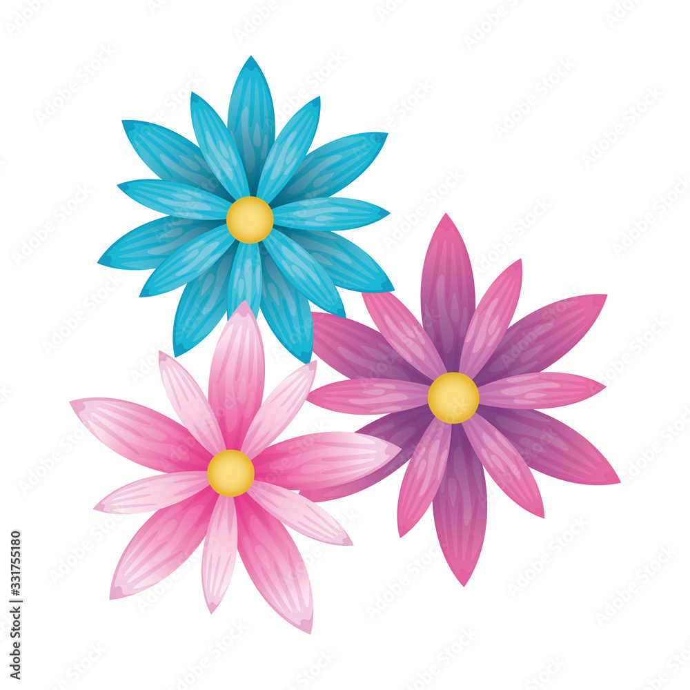 Obraz premium beautiful flowers garden decorative icon