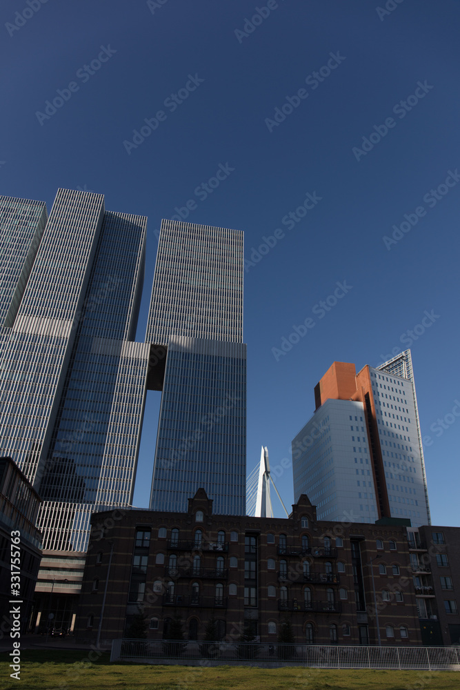 Obraz premium Rotterdam netherlands cityscape