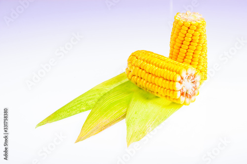 Ripe corn on the cob on a white background photo