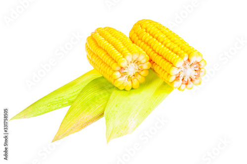 Ripe corn on the cob on a white background photo