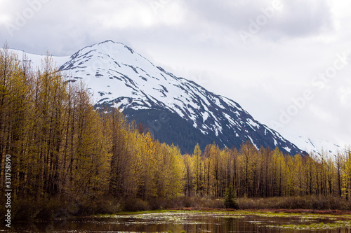 Fototapeta Naklejka Na Ścianę i Meble -  Alaska Mountains