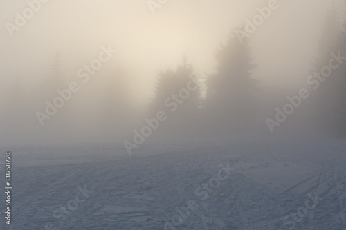 winter snowy landscape in dense fog