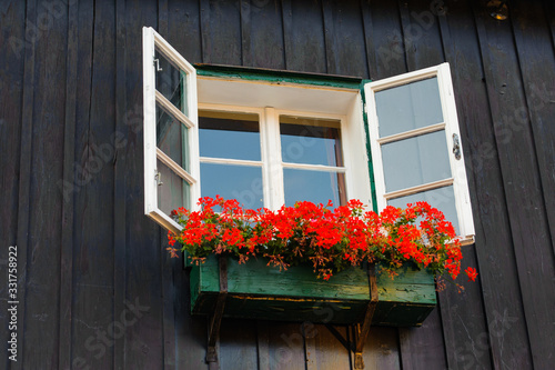 European classic apartment  house wall and window with open wooden shutters  decorated with fresh flowers. Beautiful travel picturesque background  Croatia  Europe.