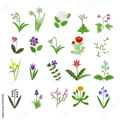 Spring flowers set