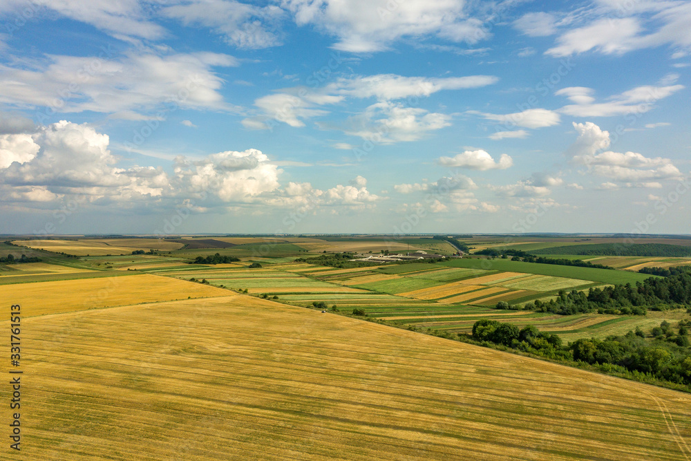 Aerial rural landscape with yellow patched agriculture fields and blue sky with white clouds.