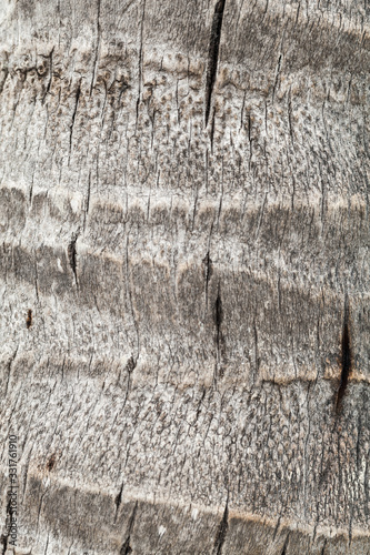 Palm cork close-up. Vertical background texture