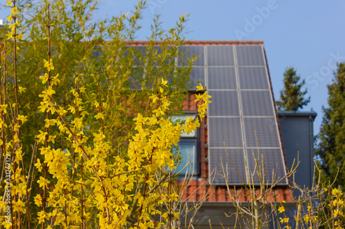 rooftop with solar panels and yellow flowers