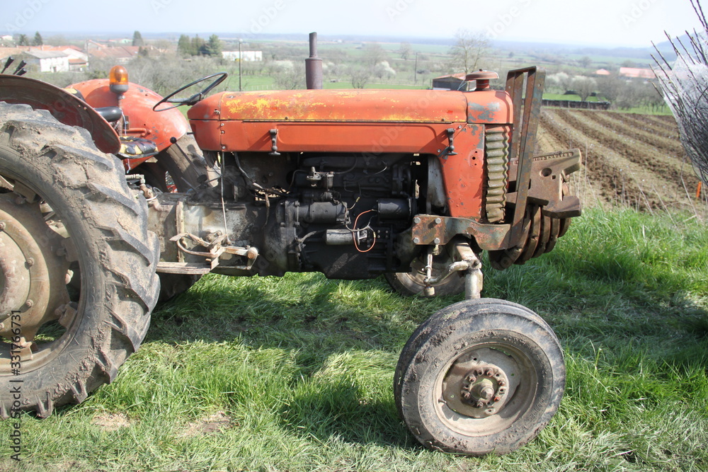 Young fruit trees and tractor for plantation Young fruit trees and tractor for plantation