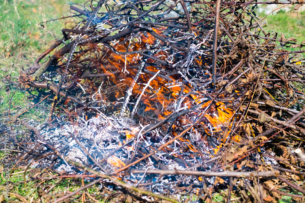 Fire and Smoke from during Burning of garden branches Fire and Smoke from during Burning of garden branches