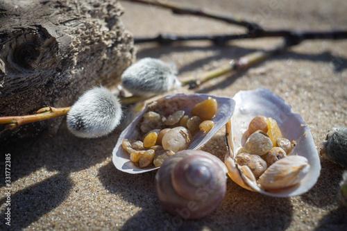 Decoration of small sea things on the sand near the baltic sea in spring