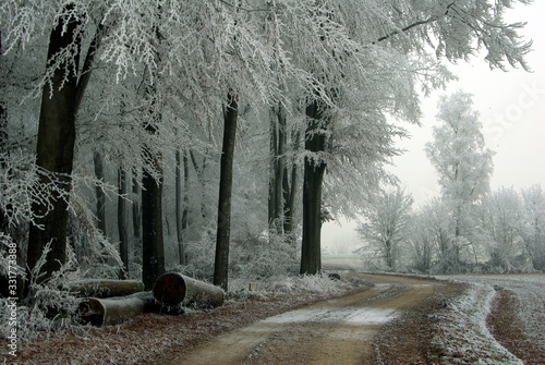 Winterlandschaft, Schnee, Frost, Landschaft, Himmel, 