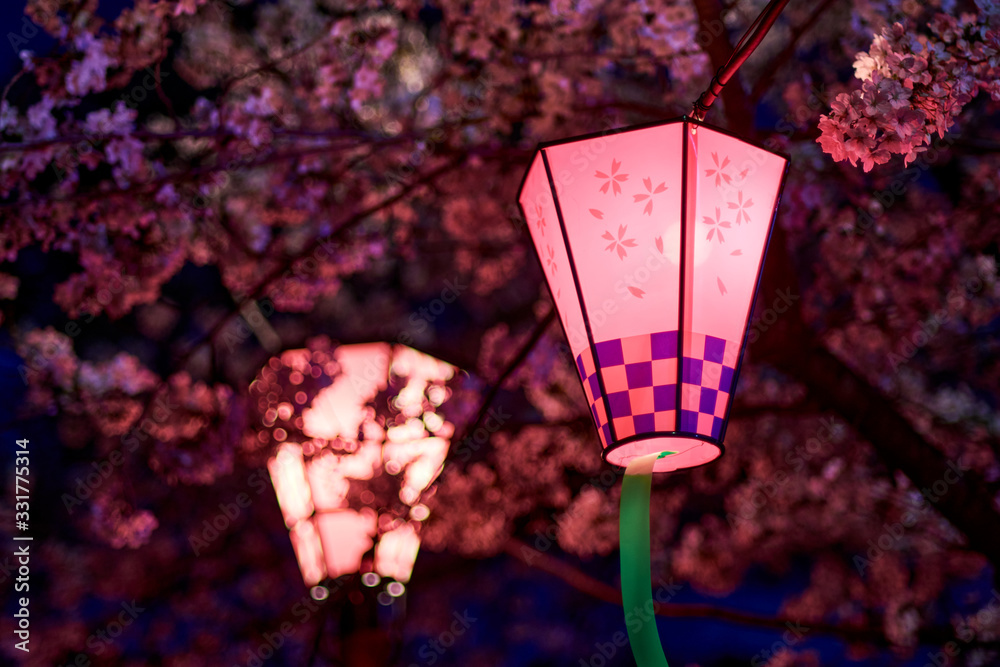 Decorative electric lanterns hung in Osaka castle park for night