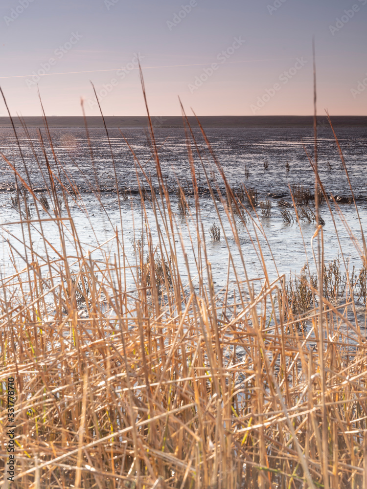 Aerial view of horizon over sea, with grass in the foreground, national park and Unesco World heritage area Waddensea in Province of Friesland, Netherlands Aerial view of horizon over sea, with grass in the foreground, national park and Unesco World heritage area Waddensea in Province of Friesland, Netherlands