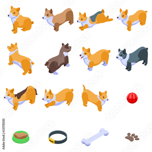 Corgi dogs icons set. Isometric set of corgi dogs vector icons for web design isolated on white background