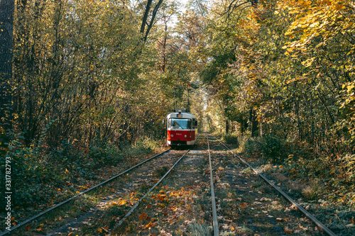 Old red tram in the autumn forest