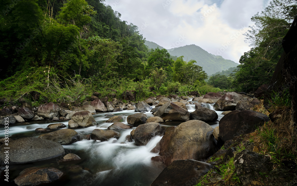 river in the forest