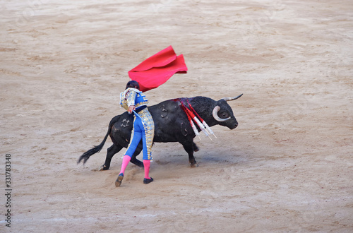 Bull attacking a toreador