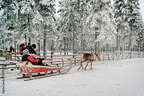 Start of the race on the reindeer sledges at the reindeer farm