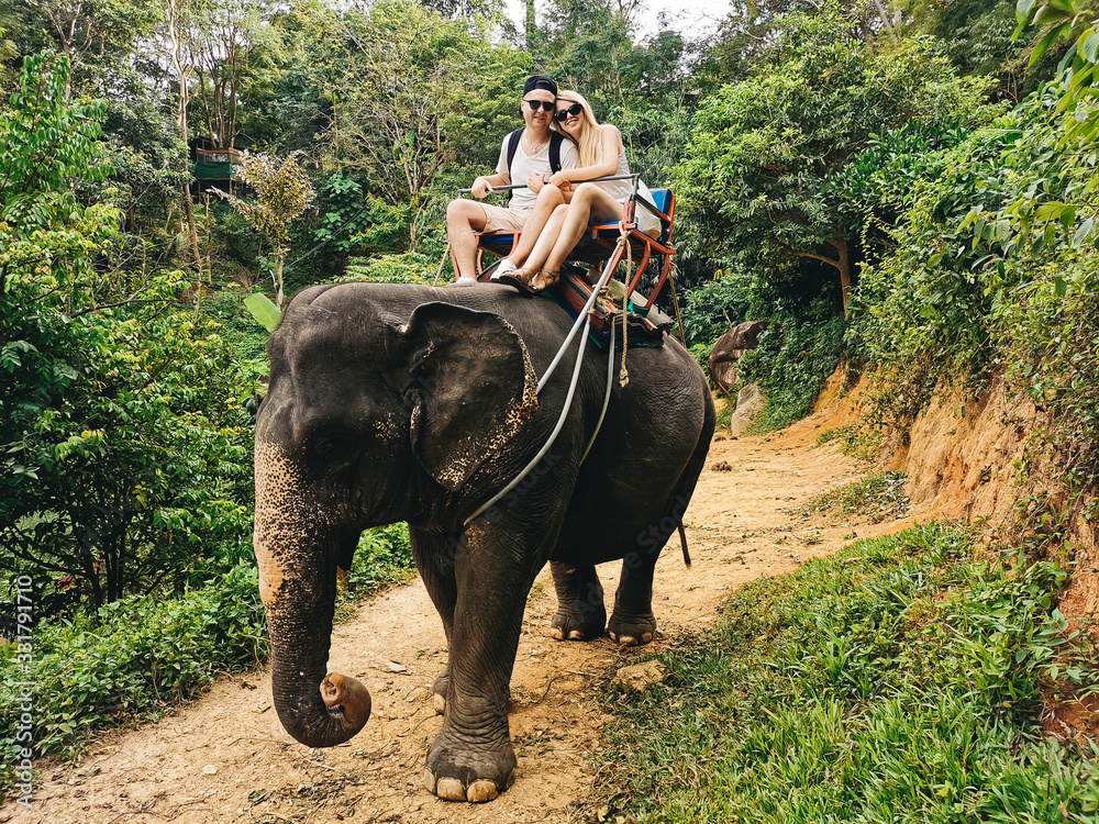Young tourists are riding on elephants through the jungle, Thailand